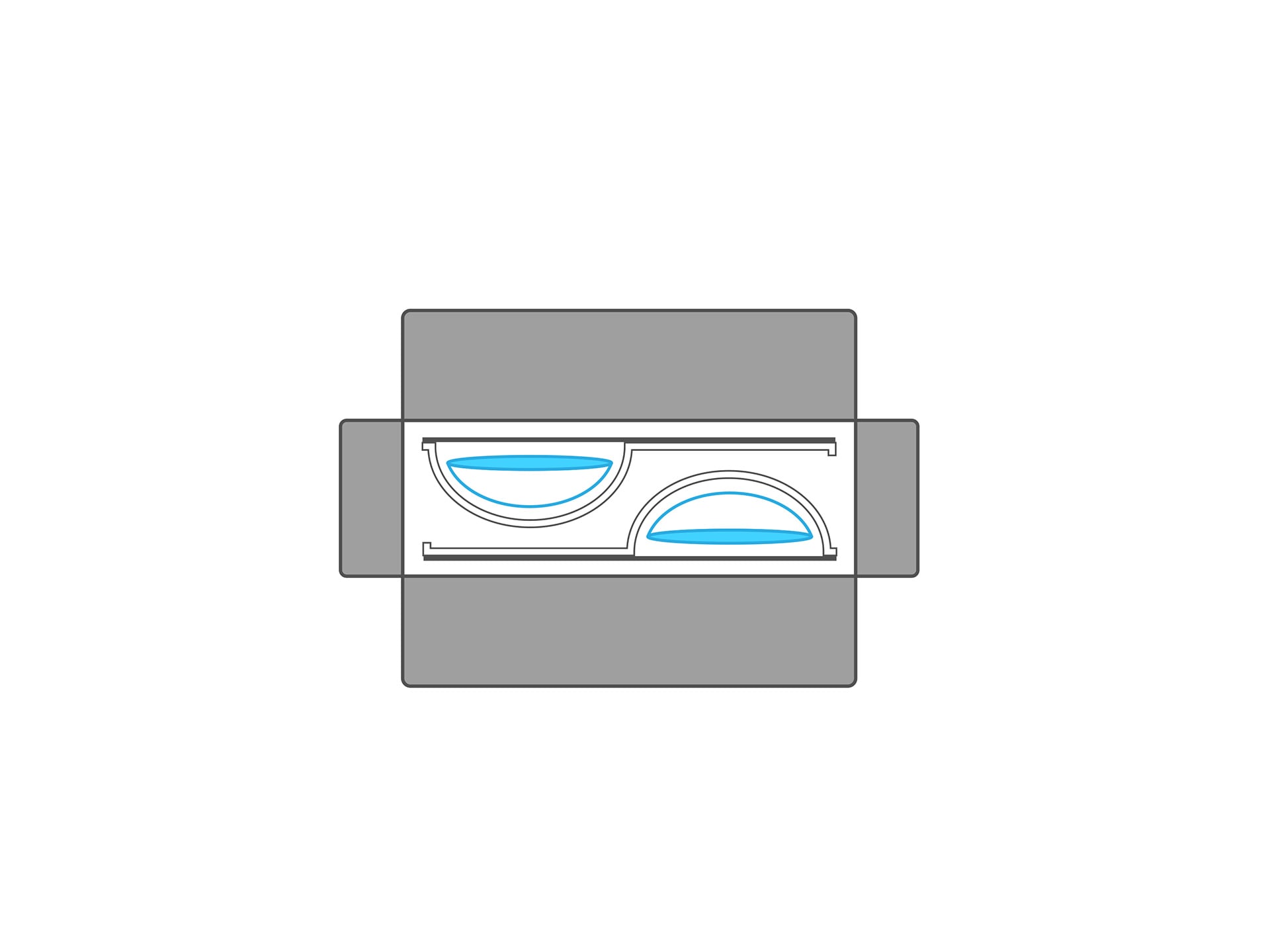 Diagram of a carton containing two blisters, each holding a contact lens