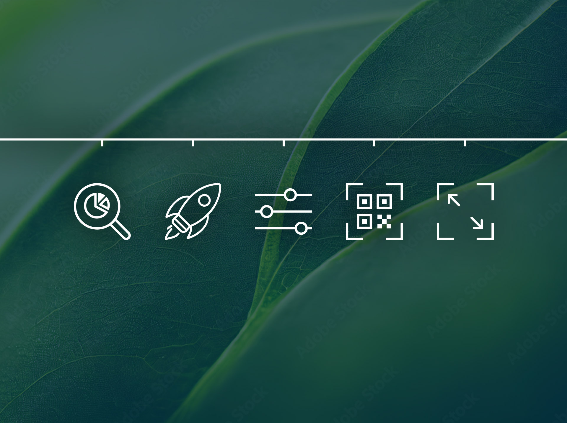 Infographic showing the KOCH sustainability process chain from analysis to scalable implementation