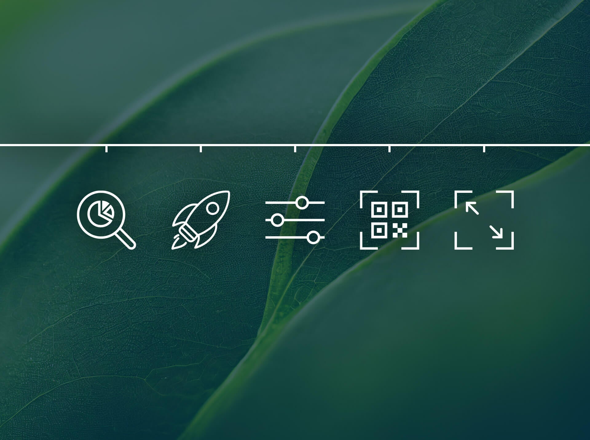 Five white line symbols on a timeline over a close-up of green leaves