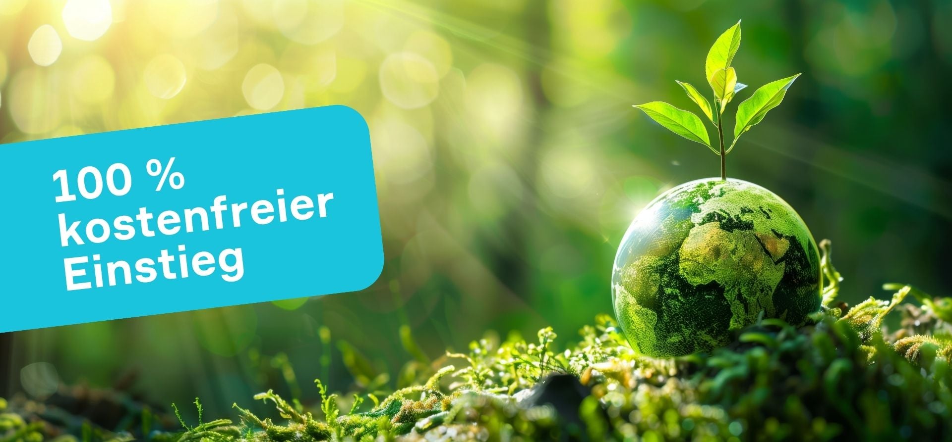 Headerbild zur PPWR-Seite – nachhaltige Verpackungslösungen