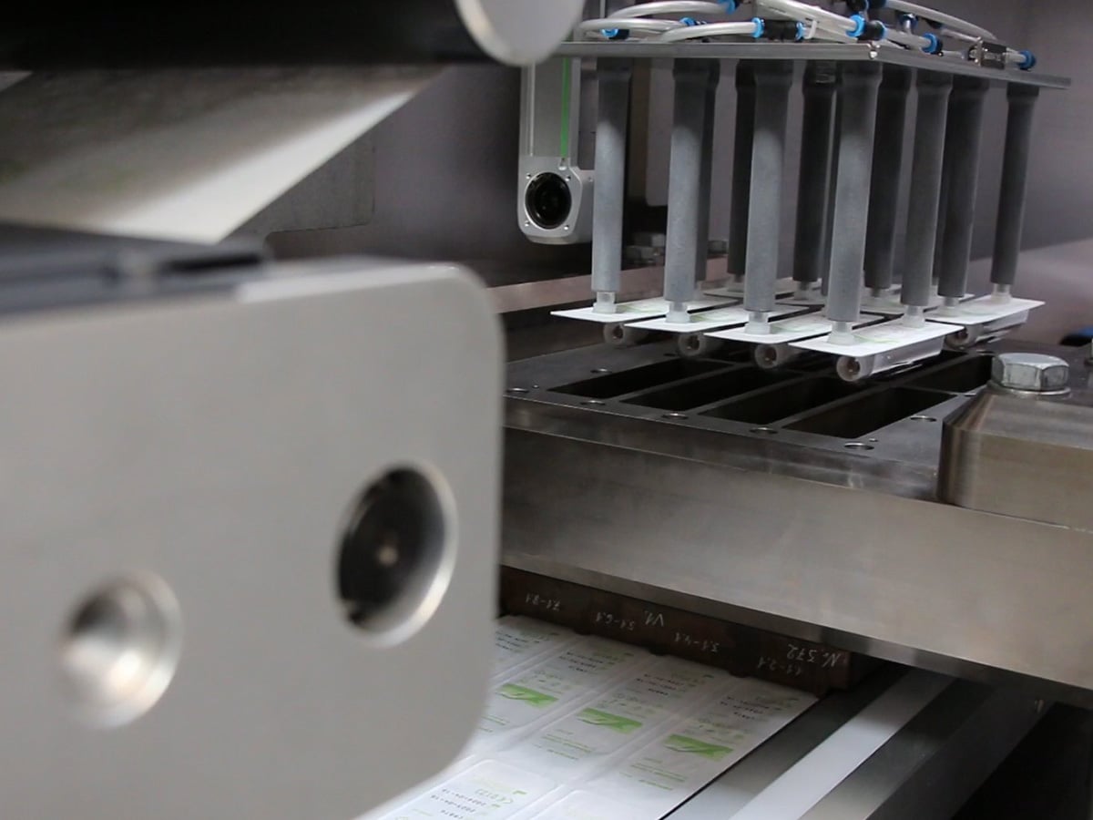 Row of suction grippers lifting sealed blisters from a punching tool for separation