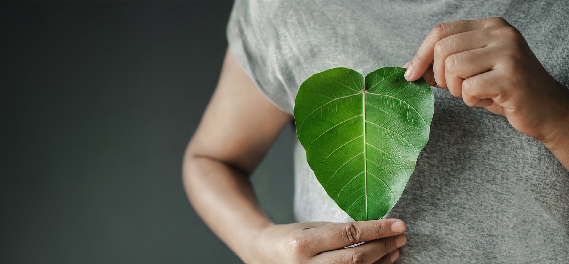 Two hands holding a heart-shaped green leaf, symbolising KOCH Pac-Systeme's commitment to sustainability and environmental responsibility